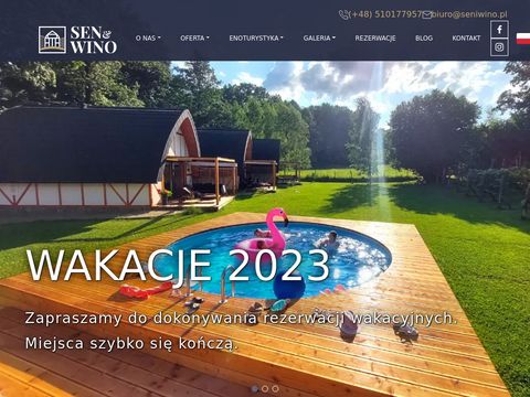 Seniwino.pl - domki do wynajęcia w górach