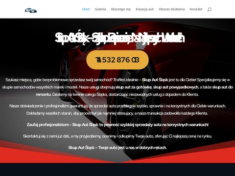 Skupaut24.slask.pl - a tradycyjna sprzedaż