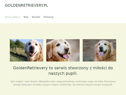 Goldenretrievery.pl - blog ogólnotematyczny