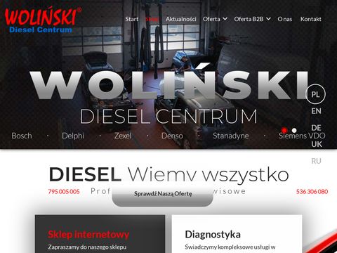 Wolinski.com.pl - regeneracja pompowtryskiwacza