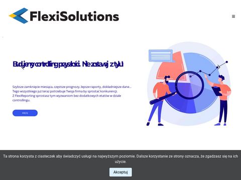 Flexisolutions - oprogramowanie dla firm