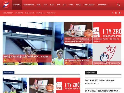 Akademiawislycanpack.pl - akademia koszykówki